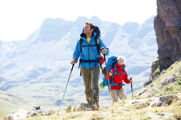 Trekking Sticks